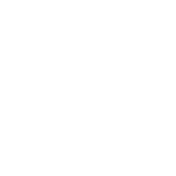 Arrow hitting a target icon